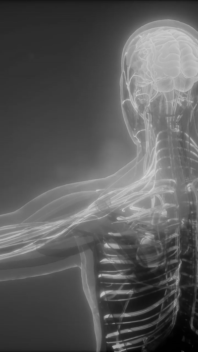 Shows a human body graphic to illustrate the benefits to airflow and circulation. Shows various athletes, skiing, dirt biking, running. Man shown wearing mouth tape and woman shown sleeping well due to mouth tape.